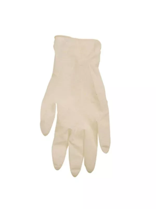 Hyde Tools 46750 Clear Plastic Gloves (6)