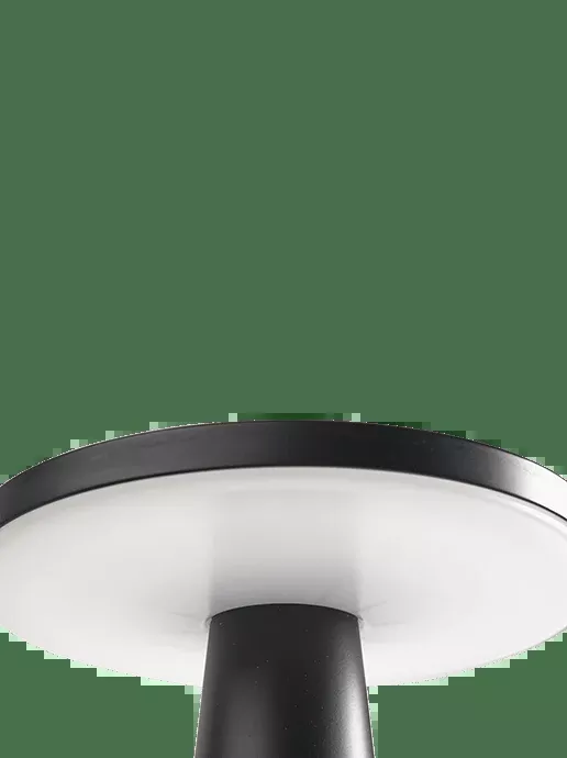 In-Lite DISC BLACK