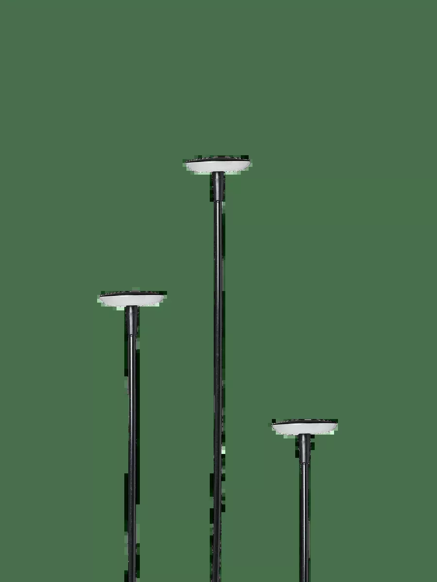 In-Lite SWAY