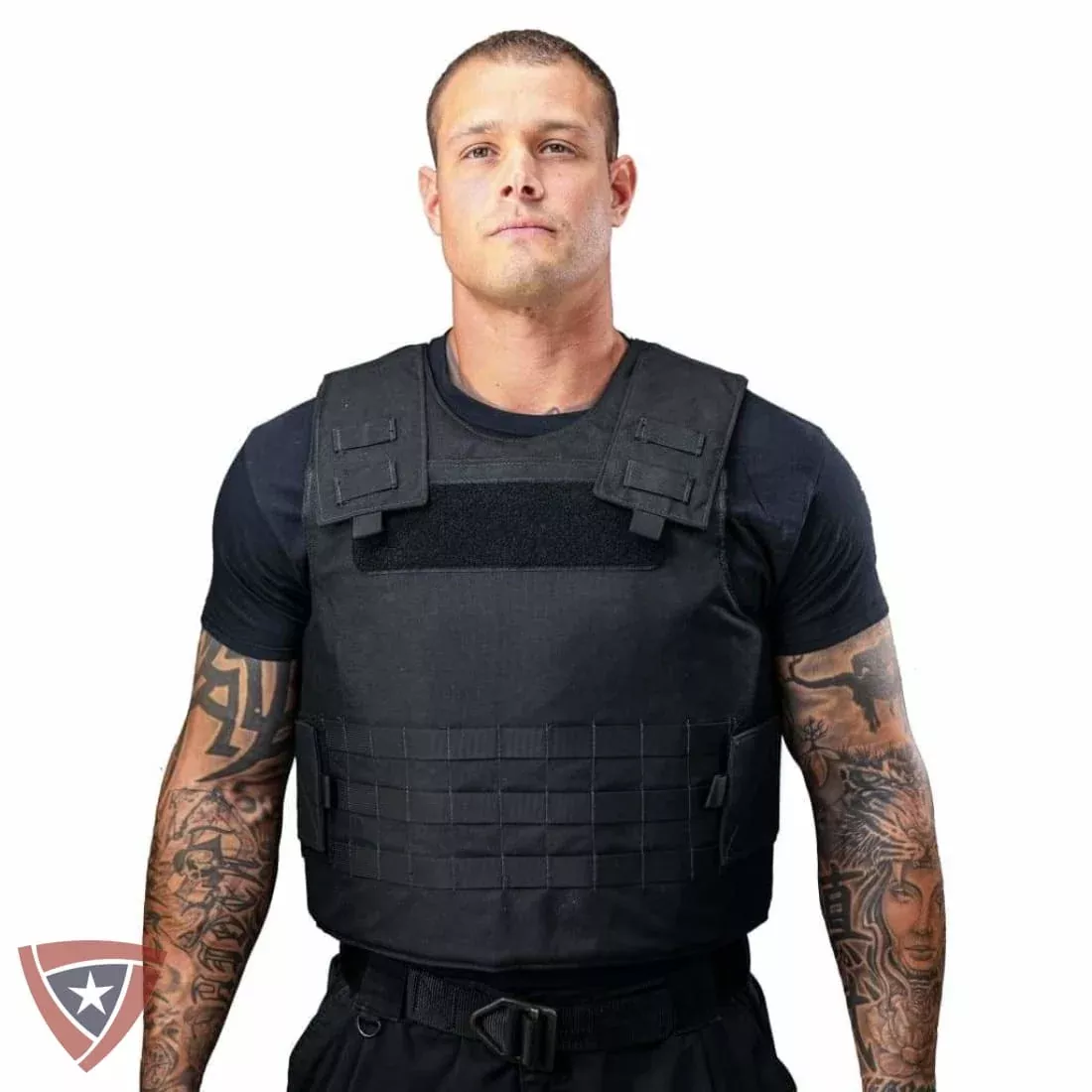 Light Tactical Body Armor and Carrier